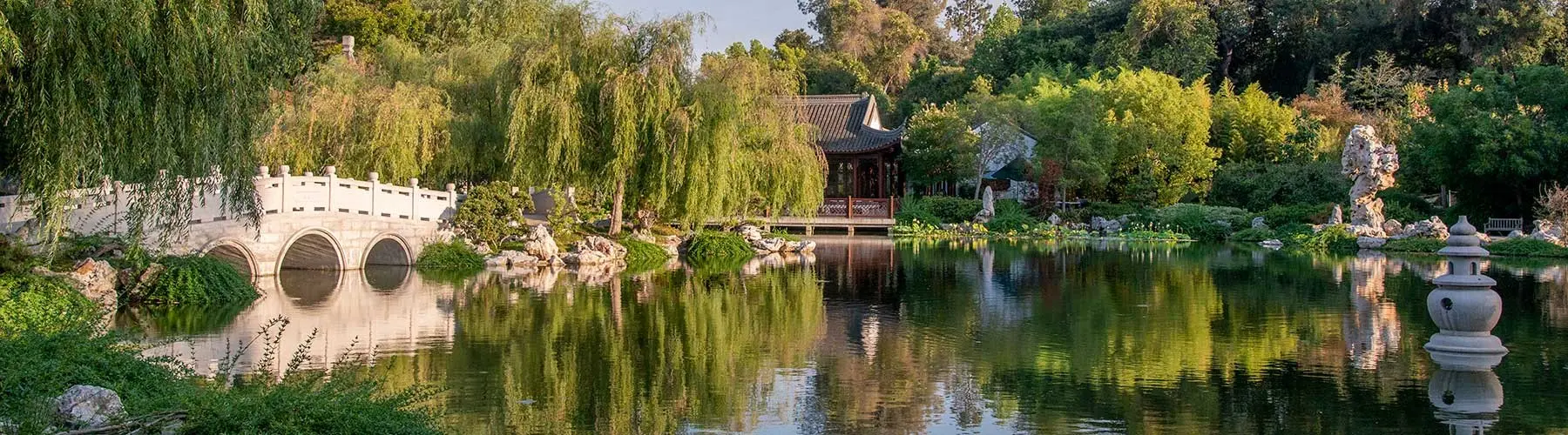 chinese garden with trees, bridge and lake