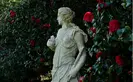 sculpture of woman next to pink camellia blossoms