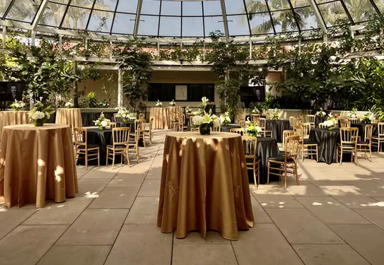 Cocktail tables set up with gold tablecloths under a glass dome.