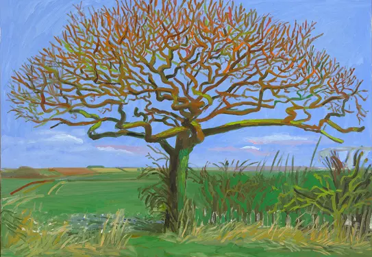 Painting of a bare tree, with many small branches, in a green field with a blue sky.