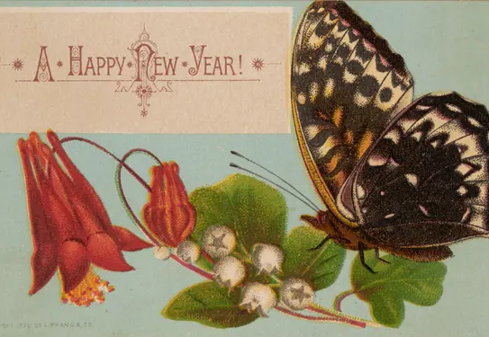 A greeting card illustration of a butterfly on a plant with berries and flowers.