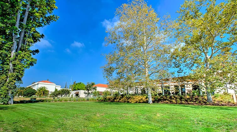 Celebration Lawn