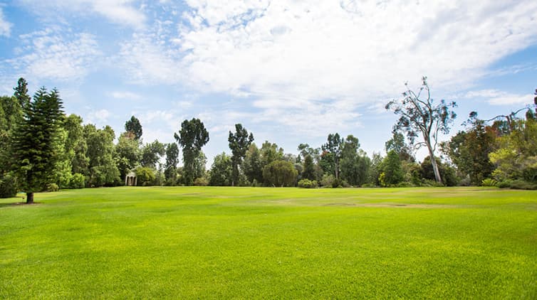 Special Events Australian Lawn