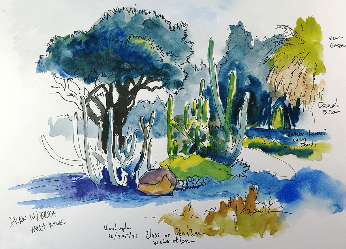 watercolor sketch of desert garden