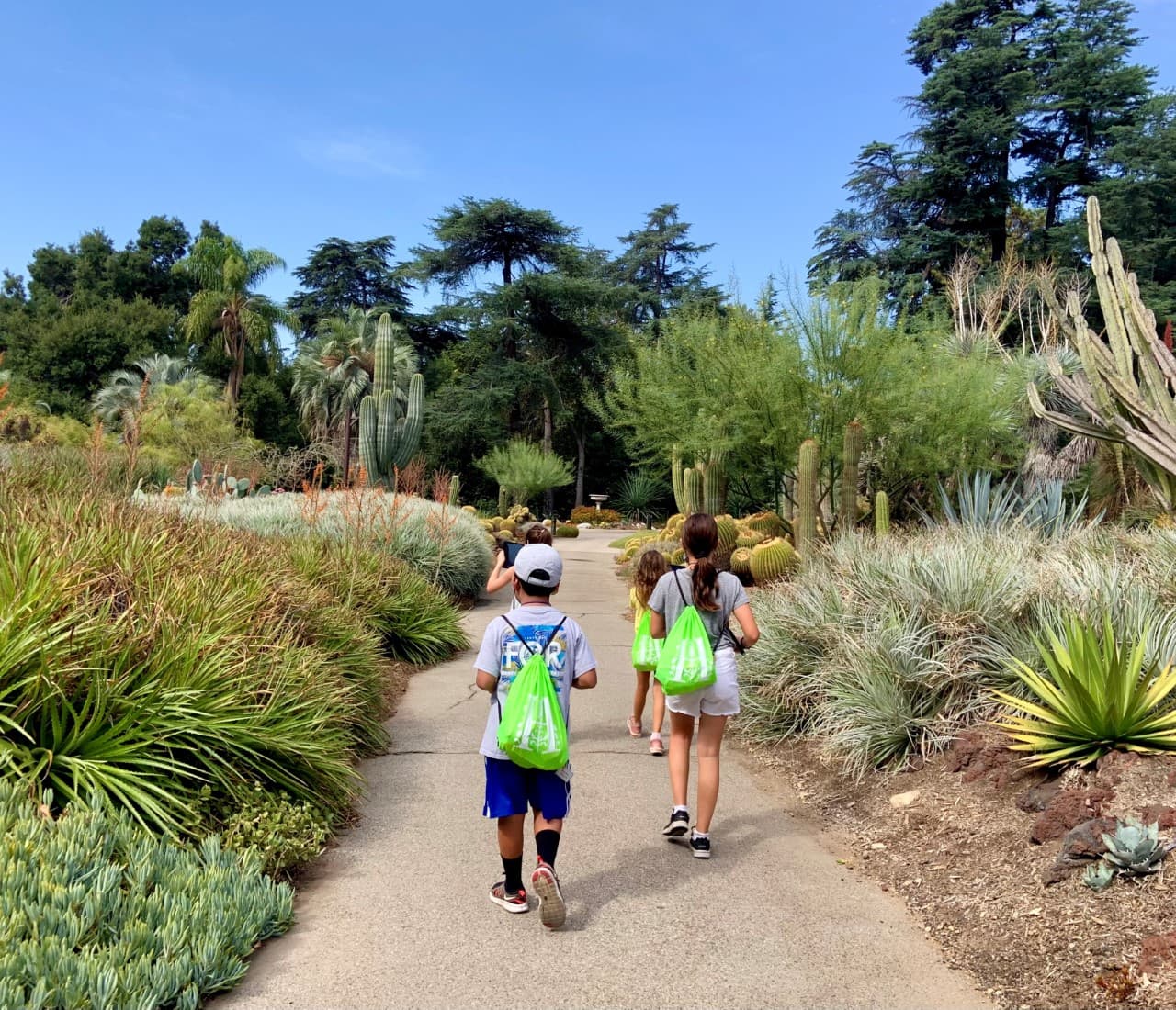 young kids walking in desert garden