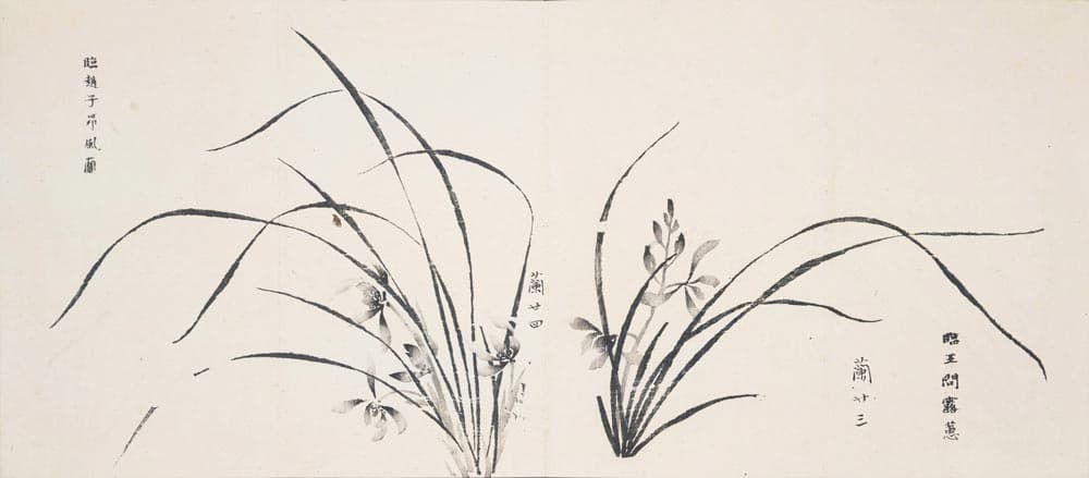 Black ink brush painting of blooming orchids with instructional text in Chinese.