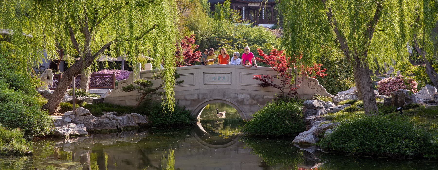 A family stands on a bridge in a Chinese garden.