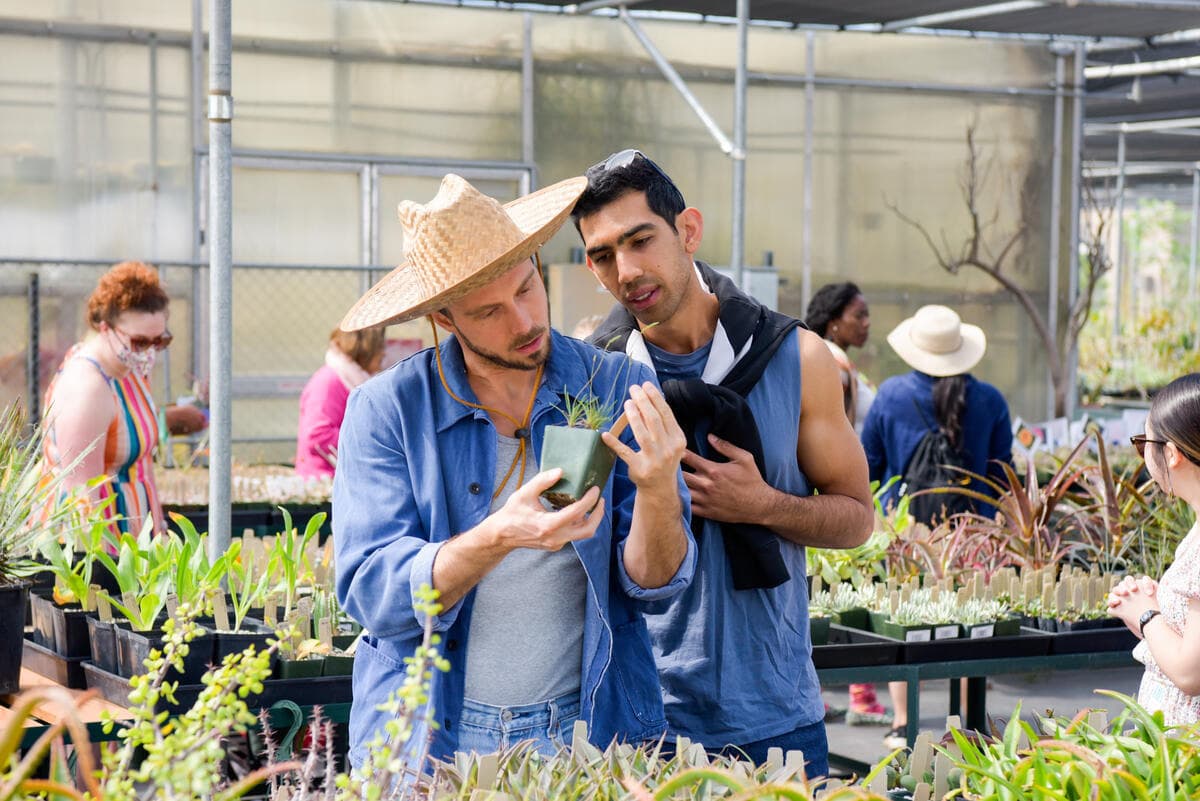 Two people look at a potted plant.