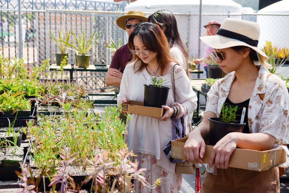 People look at potted plants on a table outdoors.