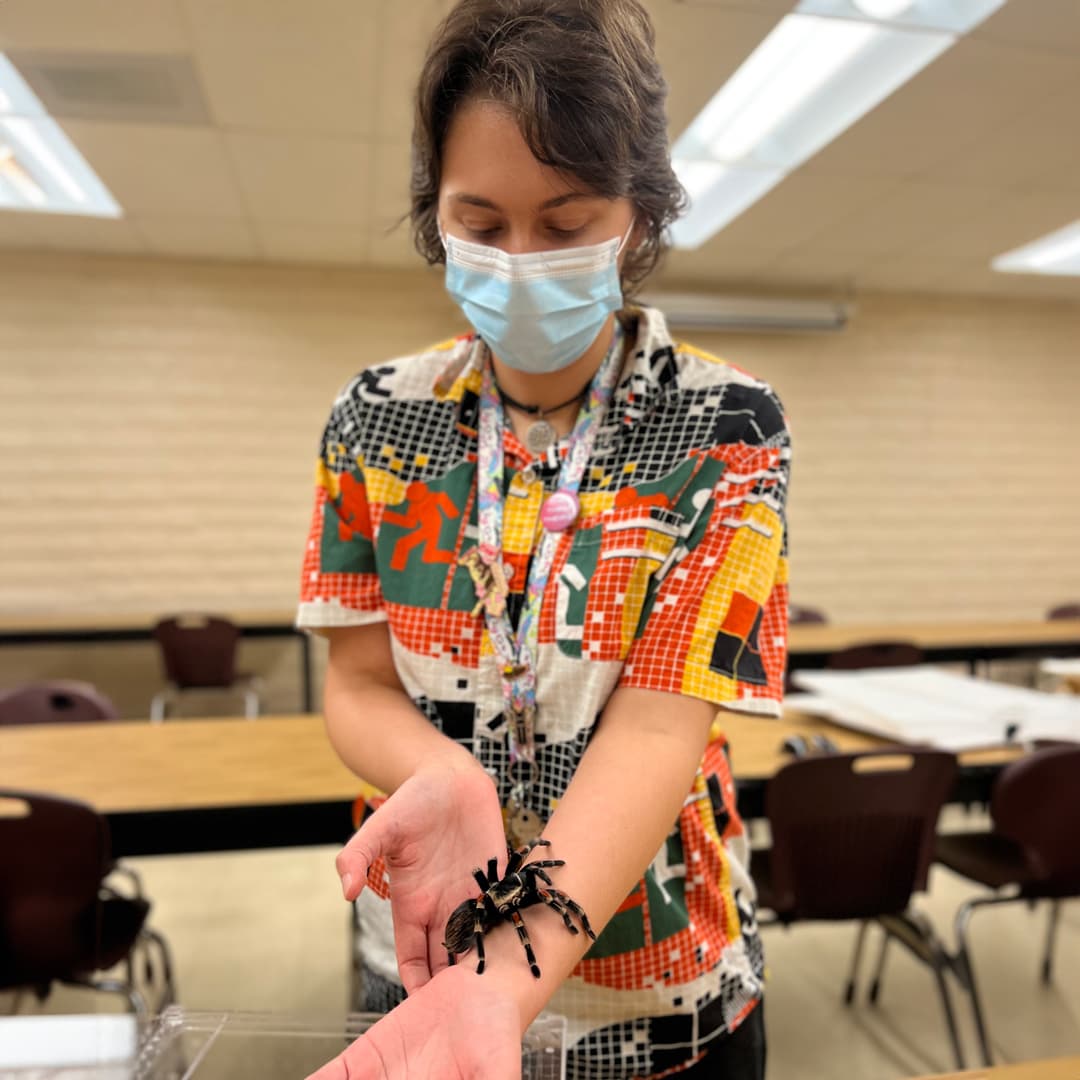 A person in a classroom with a spider on their arm.