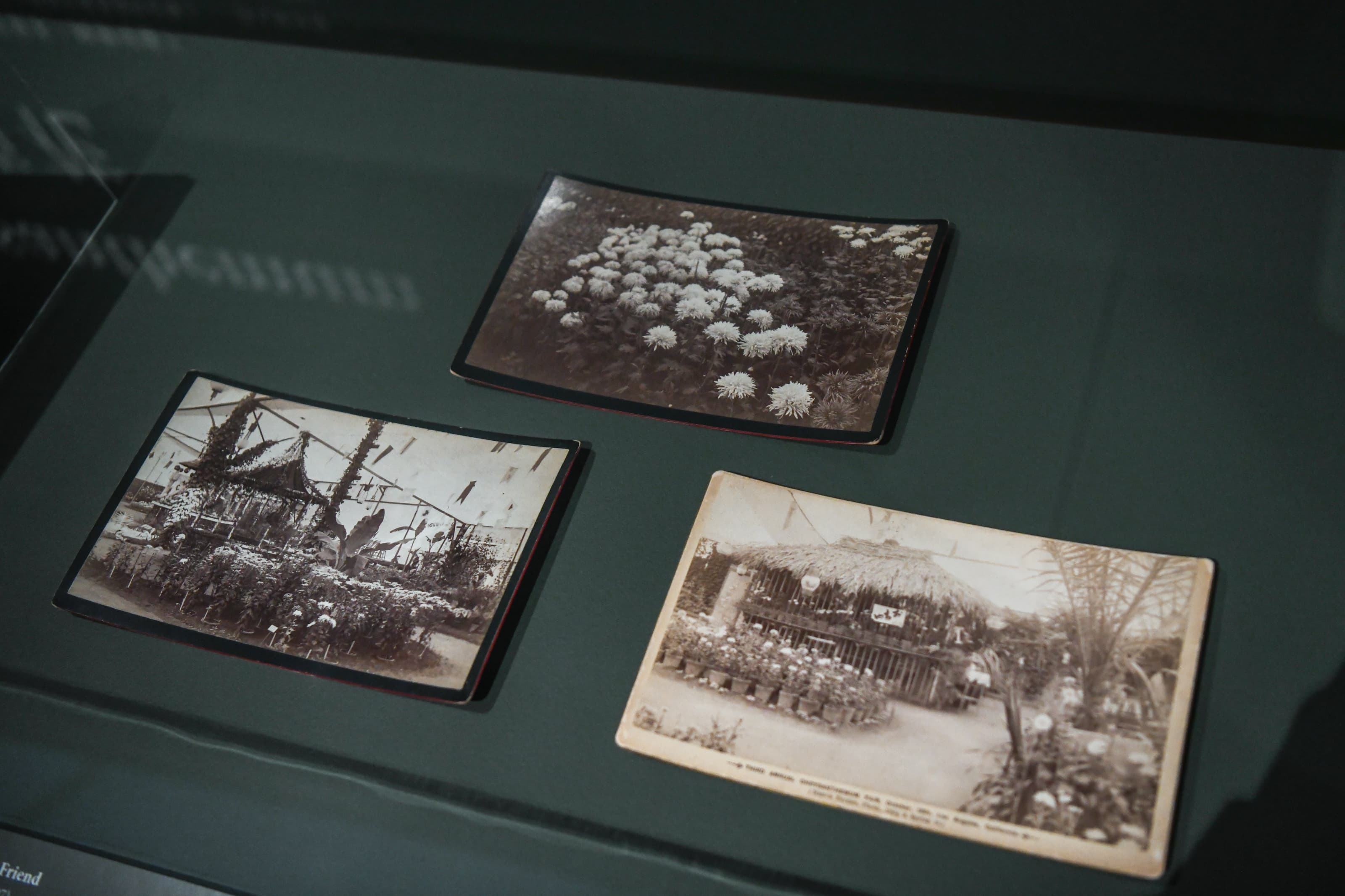 Three black-and-white photos on display in a glass case.