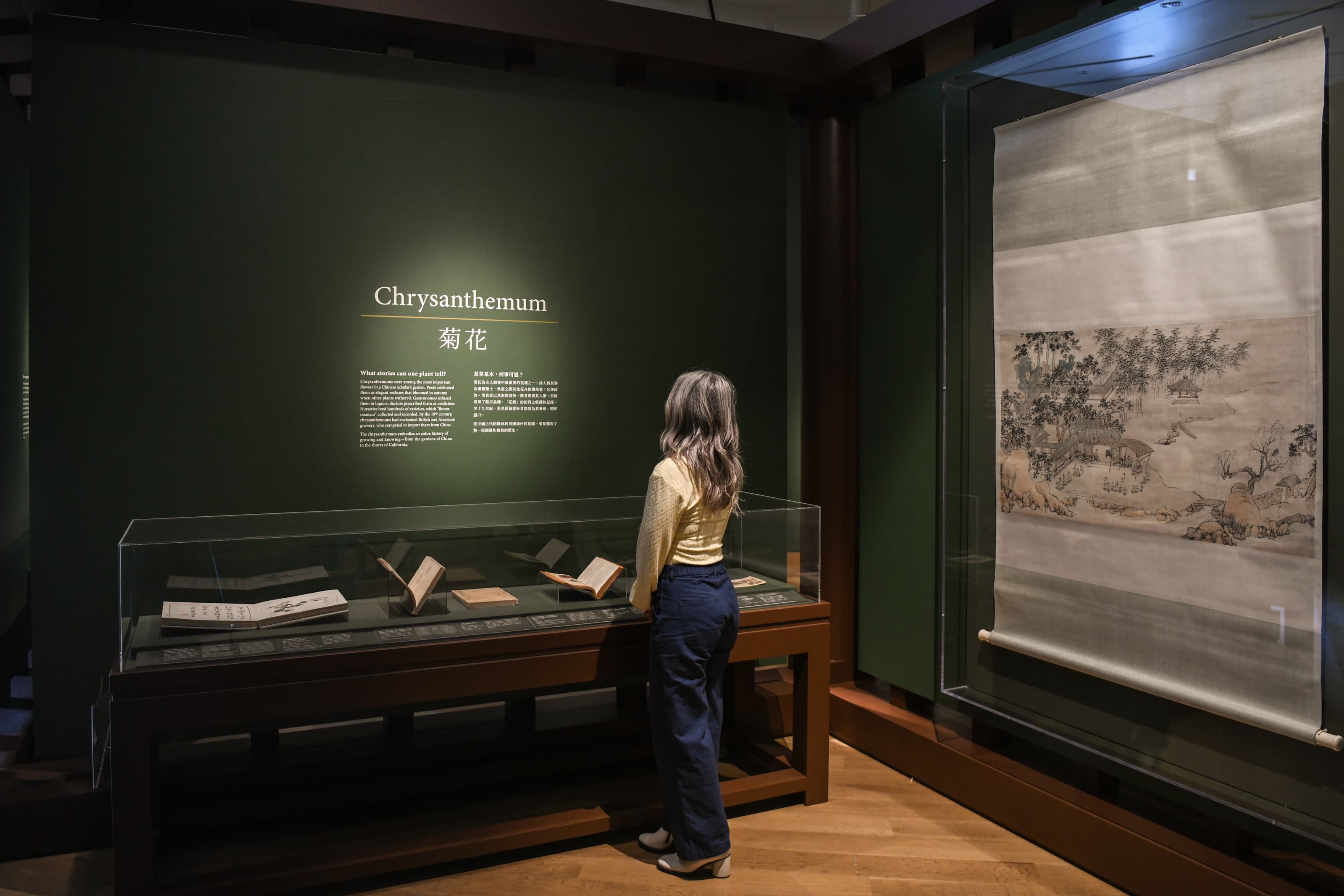 A person reads white text on a green gallery wall, and stands near two large glass display cases.