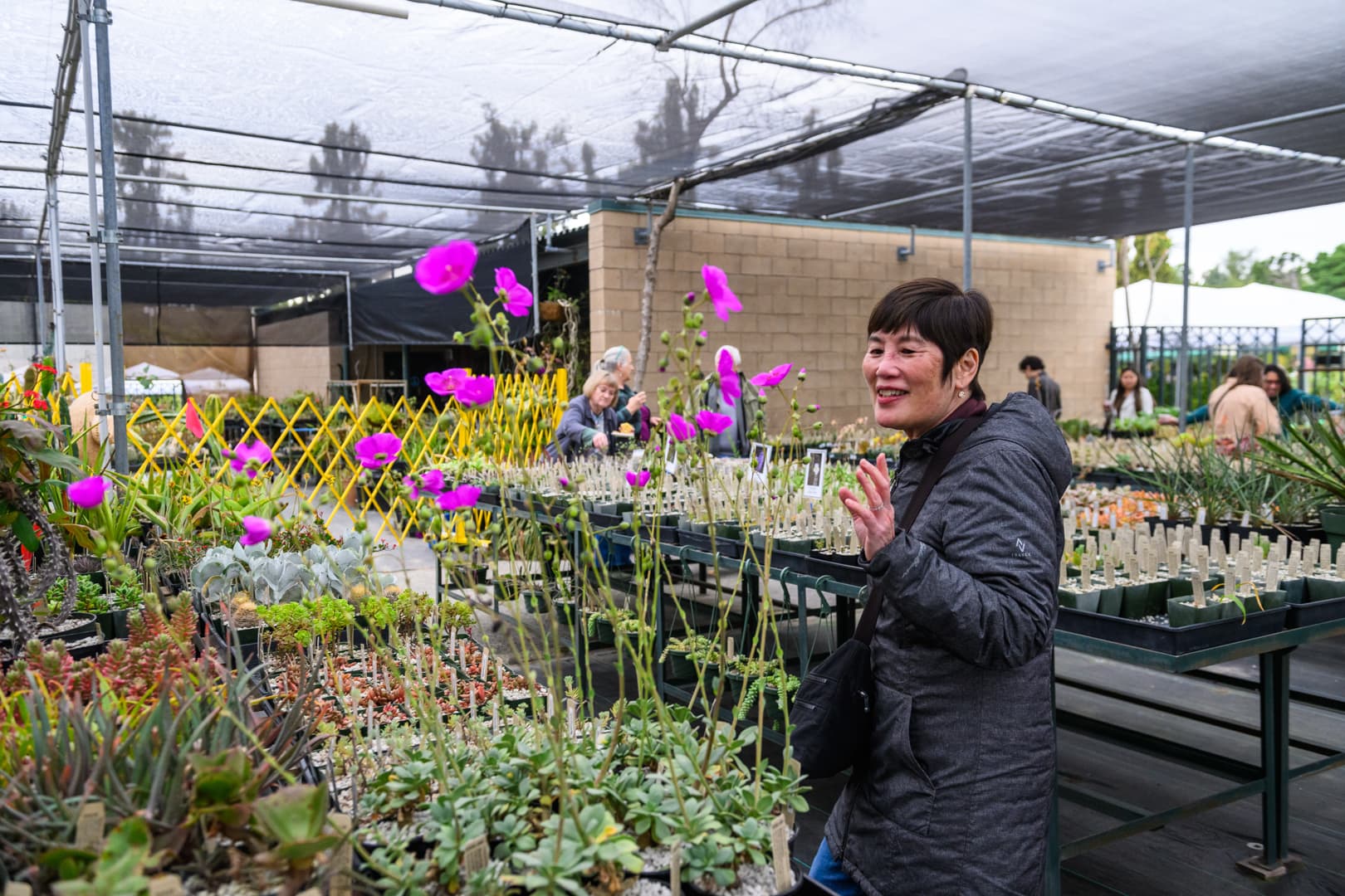 Spring Plant Sale, Society of Fellows