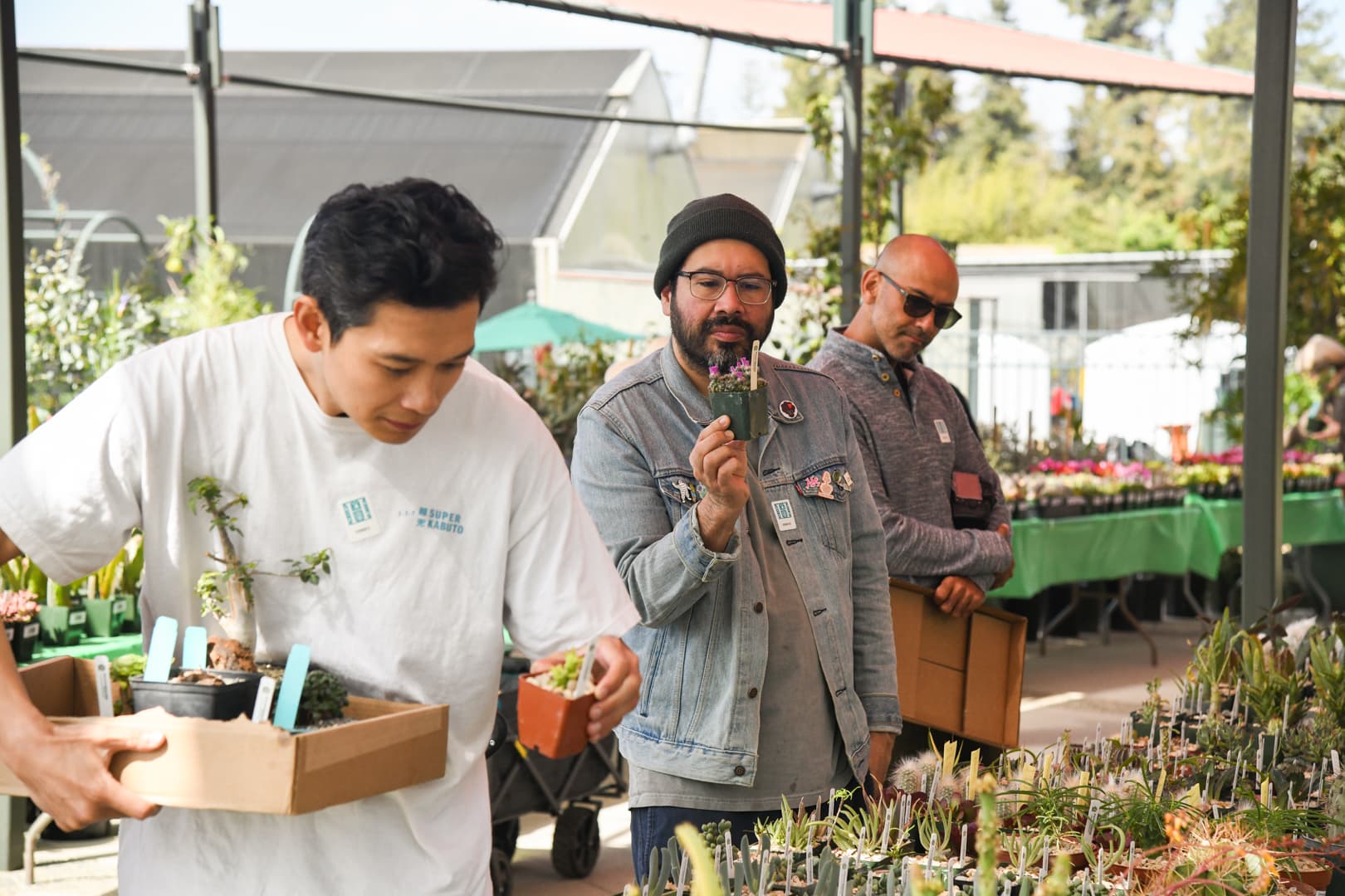 Three people stand near a table looking at potted plants.