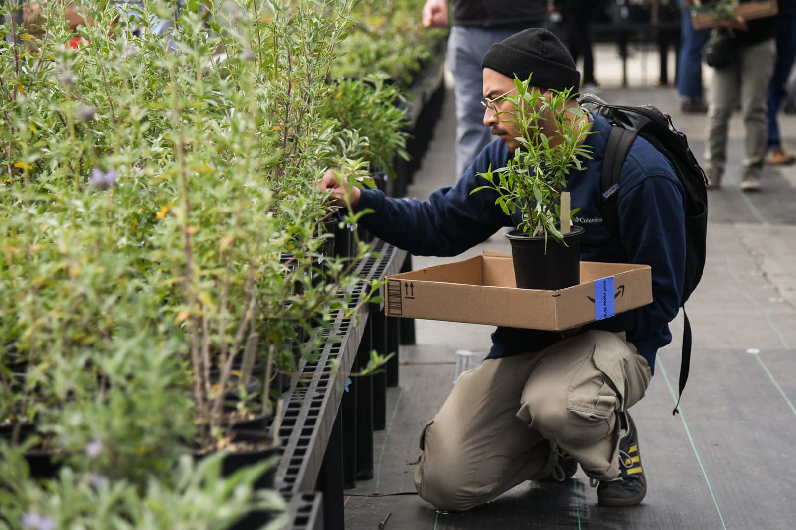 A person kneels in front of a table filled with potted plants.