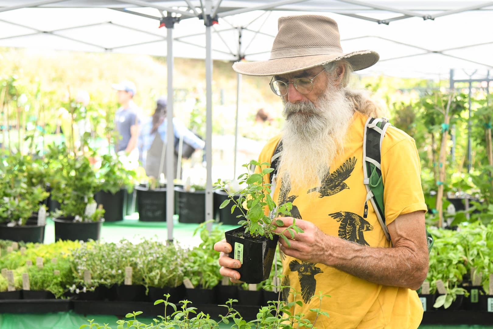 A bearded person in a tan hat and yellow shirt holds a small potted plant.