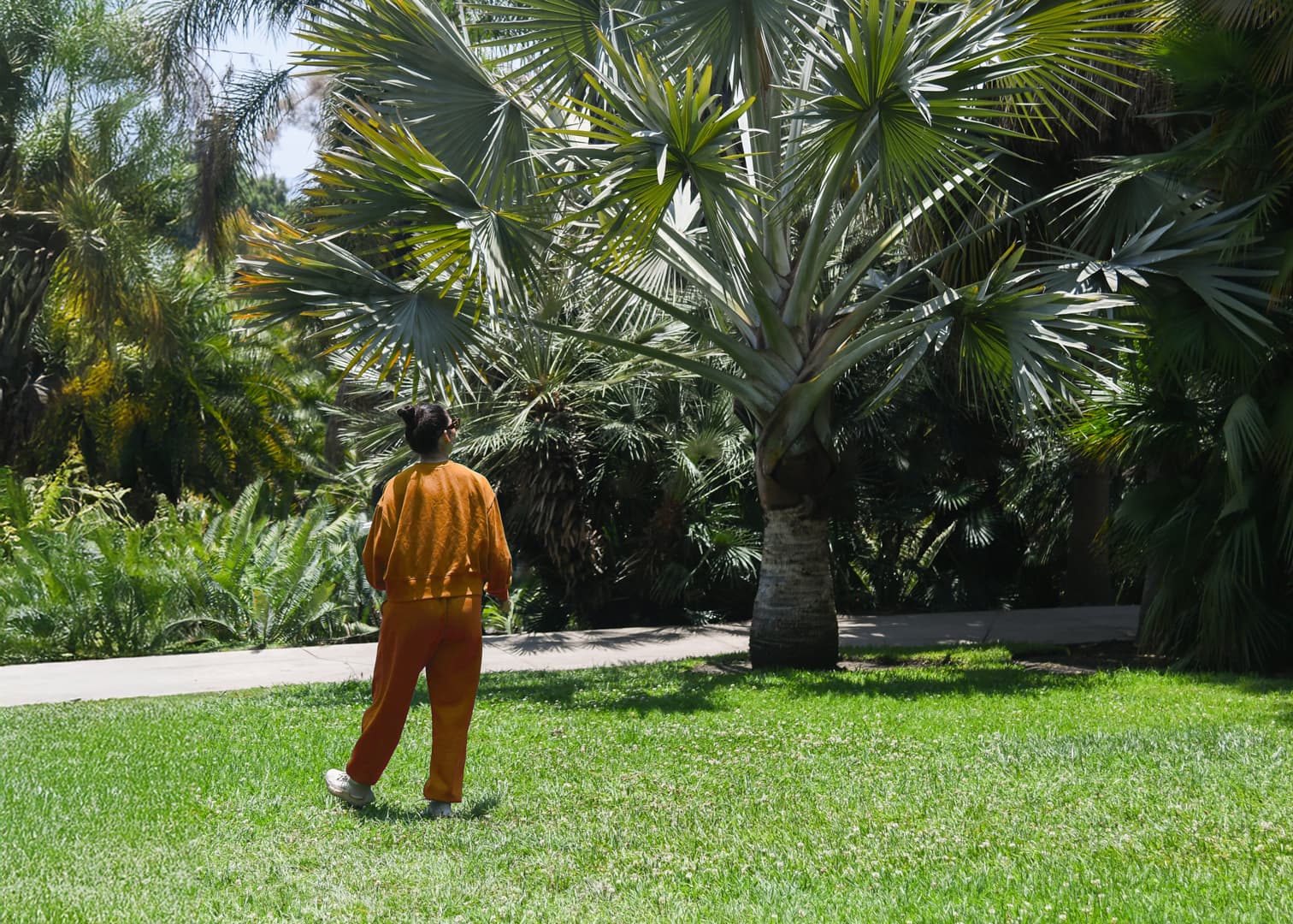 A person in an orange jumpsuit observes a large palm in a tropical garden.