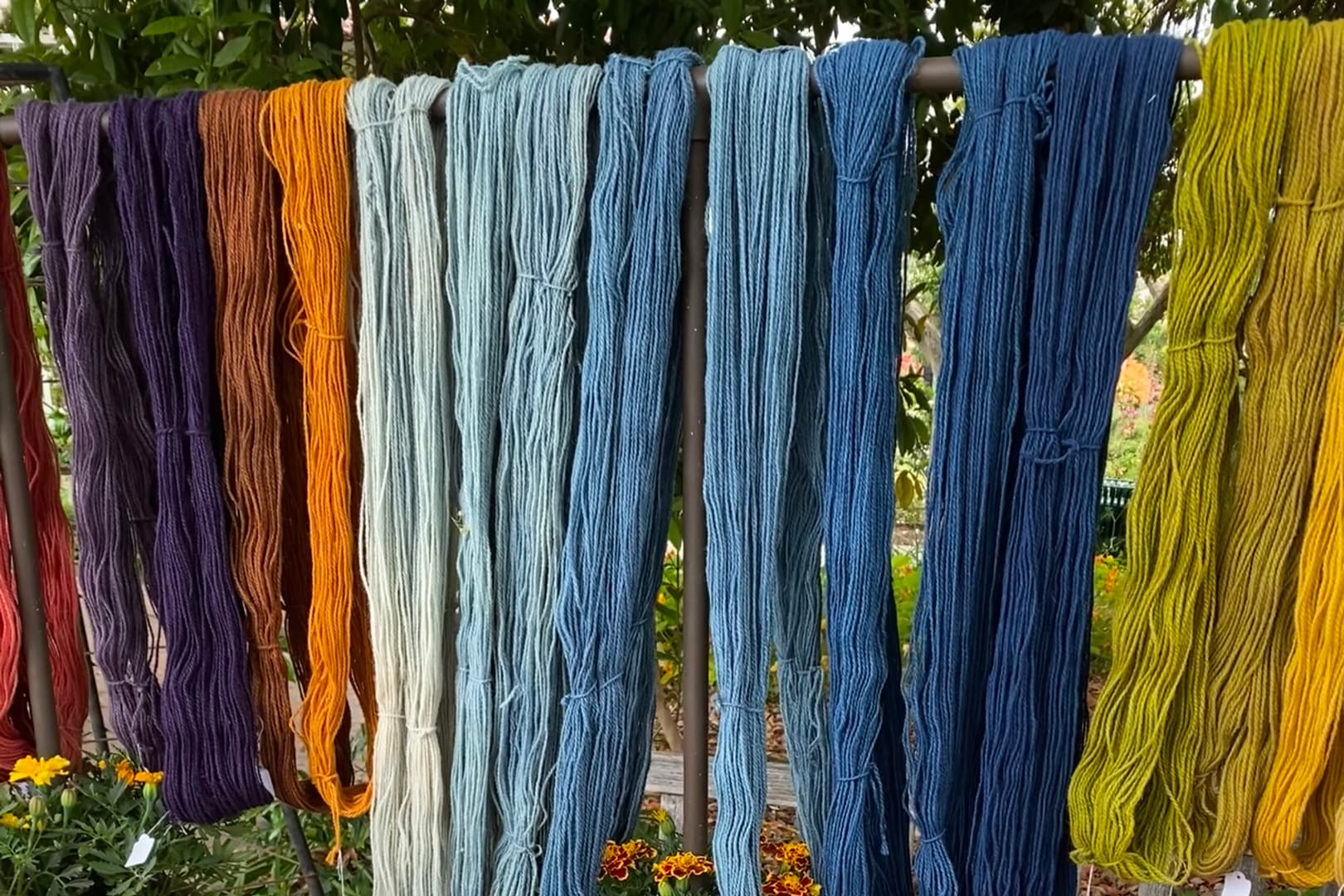 A display of hanging dyed yarn in a garden.