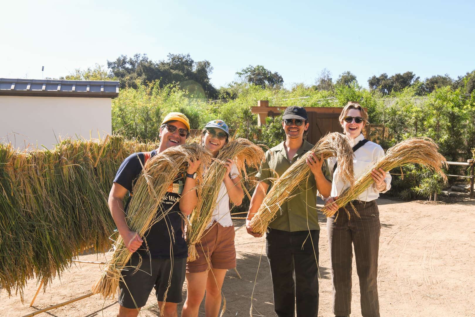 Four people stand together holding bundles of rice.