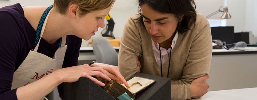 scholar's insight - a riveting hypothesis
