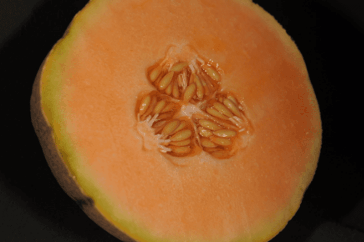 half a cantaloupe