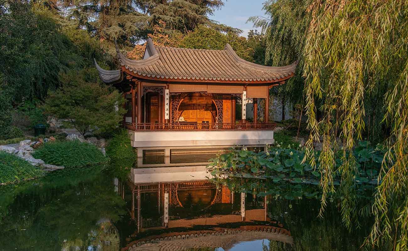 Love for the Lotus Pavilion