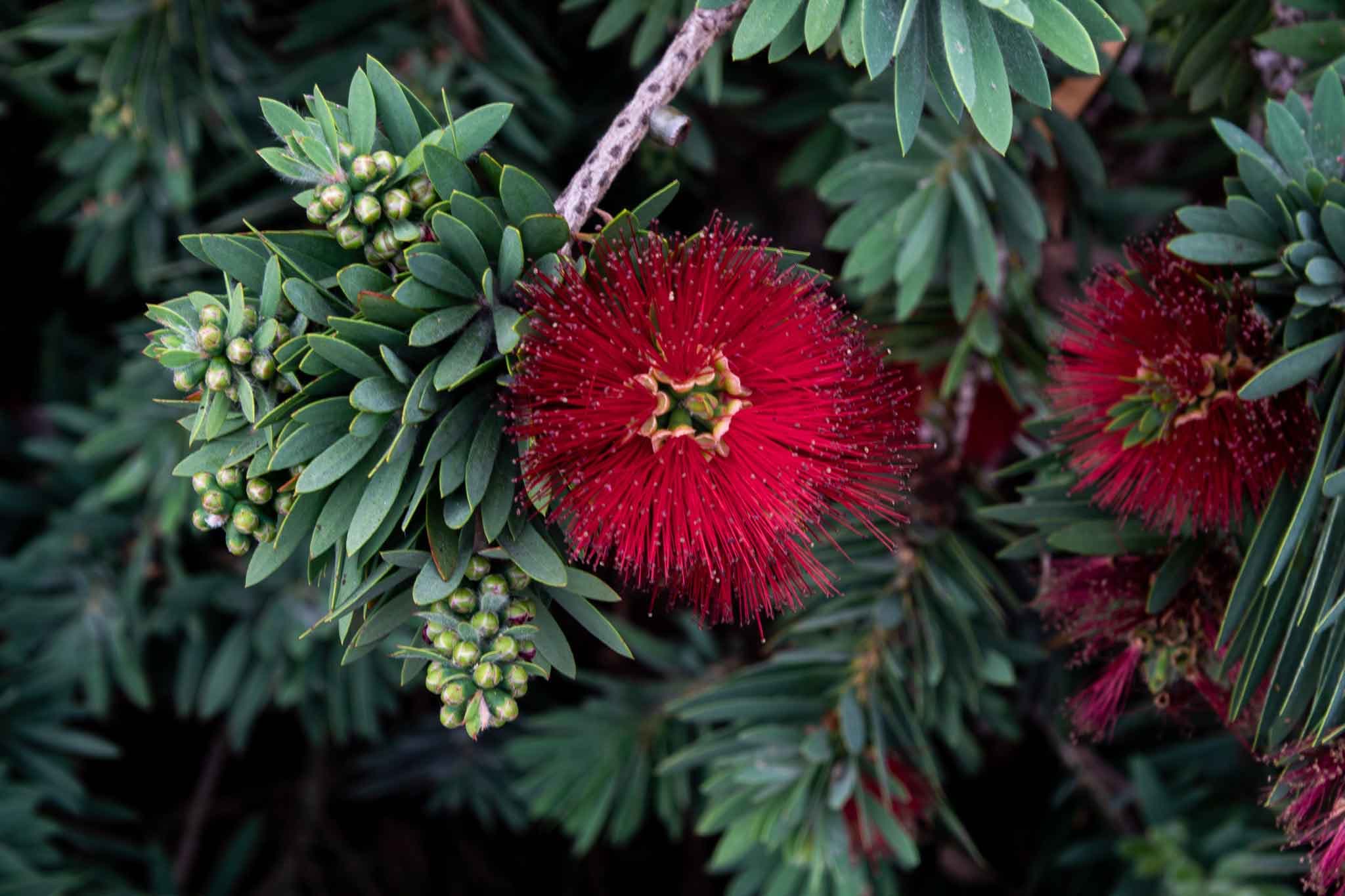 bb_02616.jpg