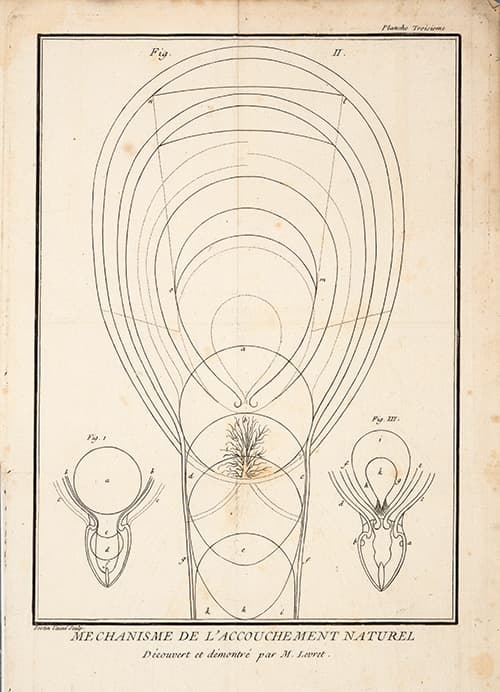 L'art des accouchemens: démontré par des principes de physique et de mechanique ; pour servir de base & de fondement à des leçons particulières