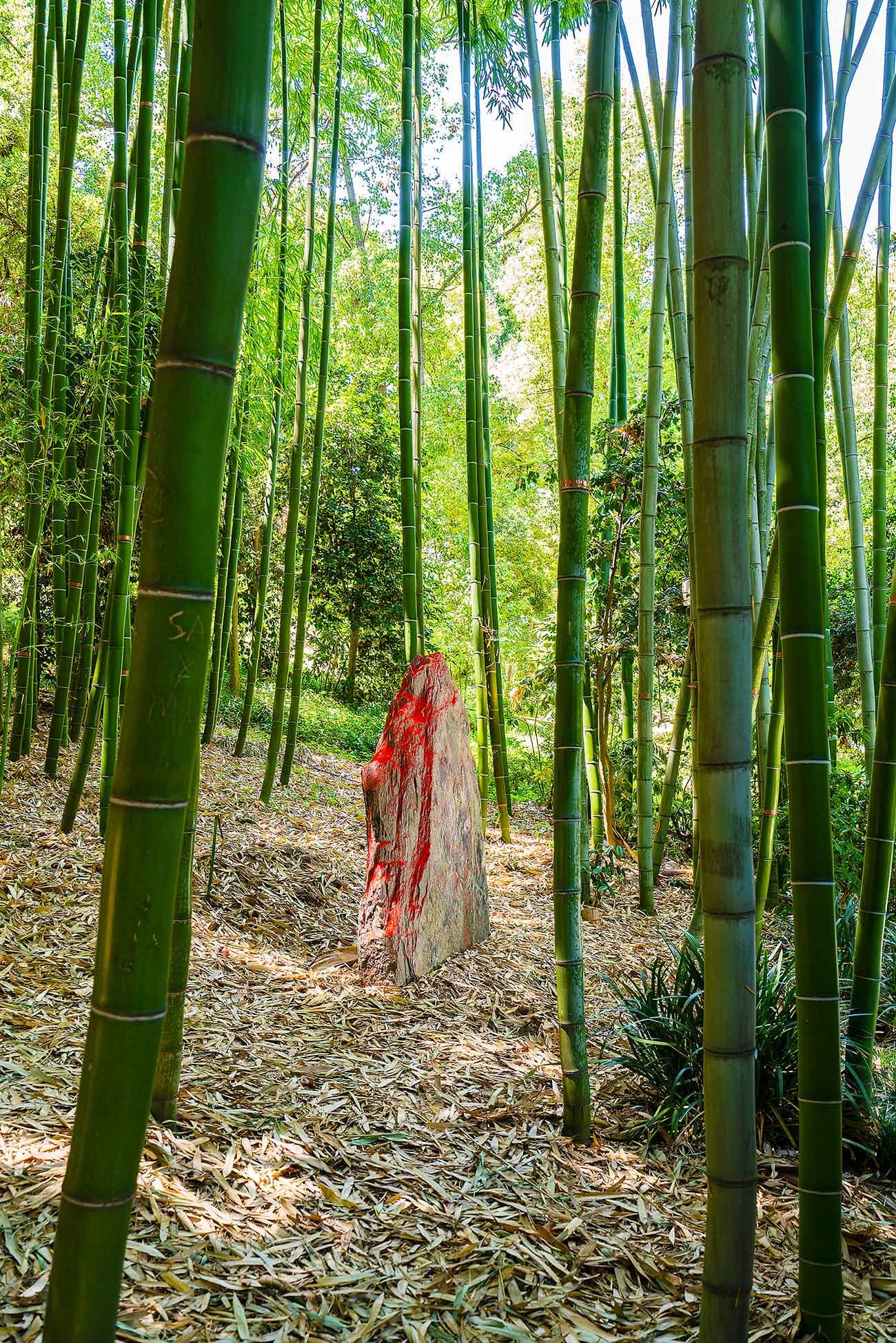 Installation view of "Red Earth" by Lita Albuquerque. The Huntington Library, Art Museum, and Botanical Gardens. Photo by Karl Puchlik, courtesy of the artist.