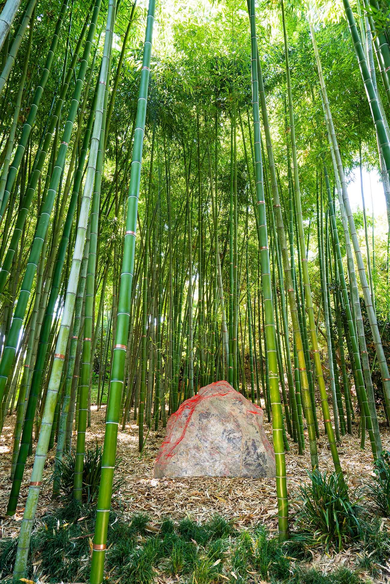 Installation view of "Red Earth" by Lita Albuquerque. The Huntington Library, Art Museum, and Botanical Gardens. Photo by Karl Puchlik, courtesy of the artist.