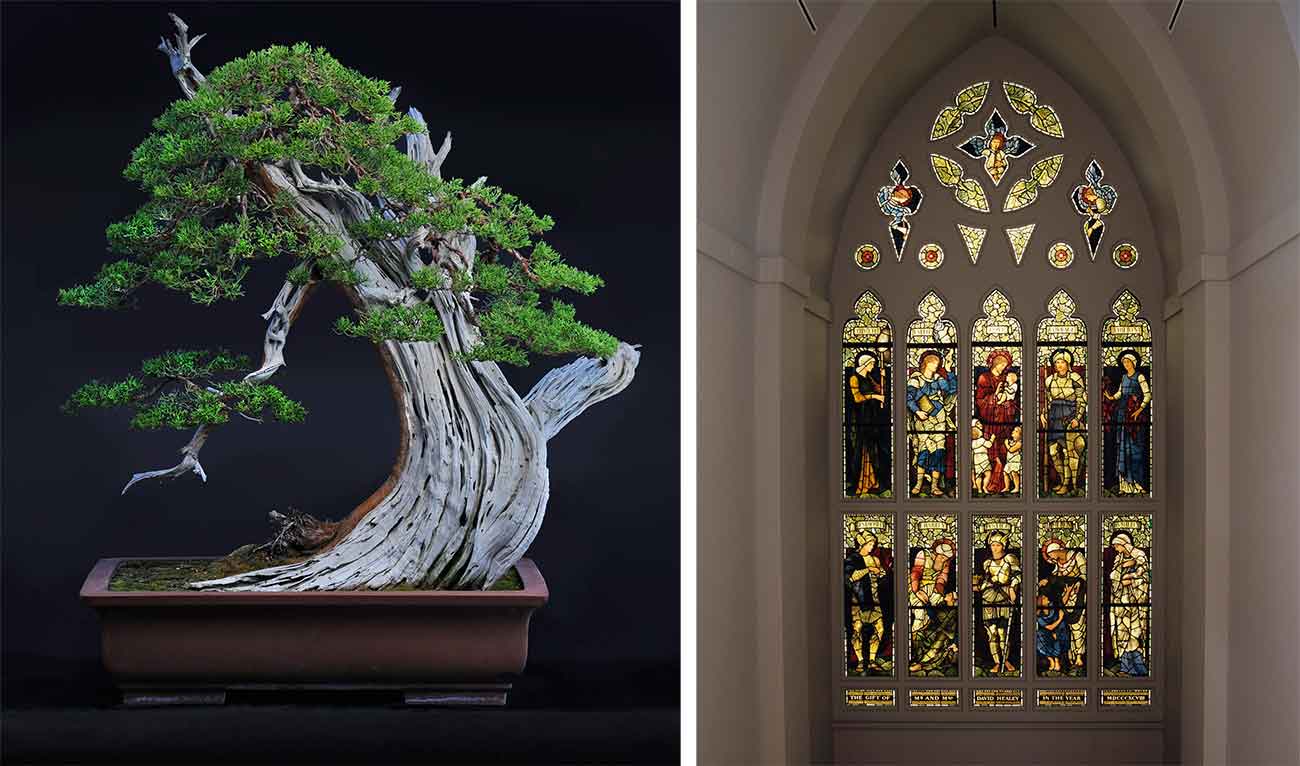Left: California juniper (Juniperus californica), moyogi or informal upright style bonsai, estimated age of original plant material: 1,200–1,500 years. Collected from the Mojave Desert, displayed in Itayama Tokonamepot from Japan. Donated by the Bergstein Family, on loan from the Golden State Bonsai Federation. Photo by Andrew Mitchell. Right: Edward Burne-Jones (designer) for Morris and Company, David Healey Memorial Window, 1898, glass and lead. Photo by Tim Street-Porter. The Huntington Library, Art Muse