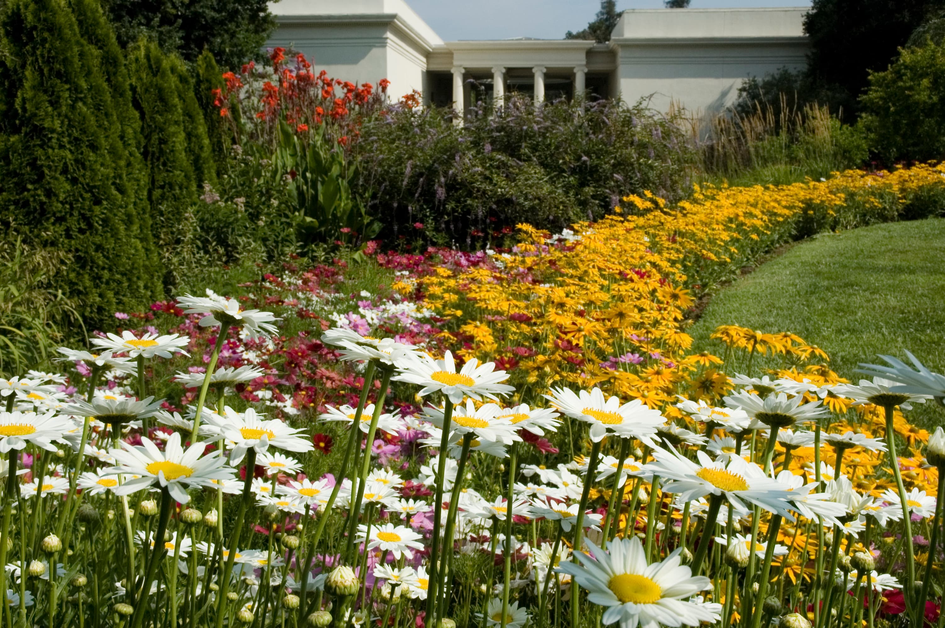 Flowers in bloom in Shakespeare Garden