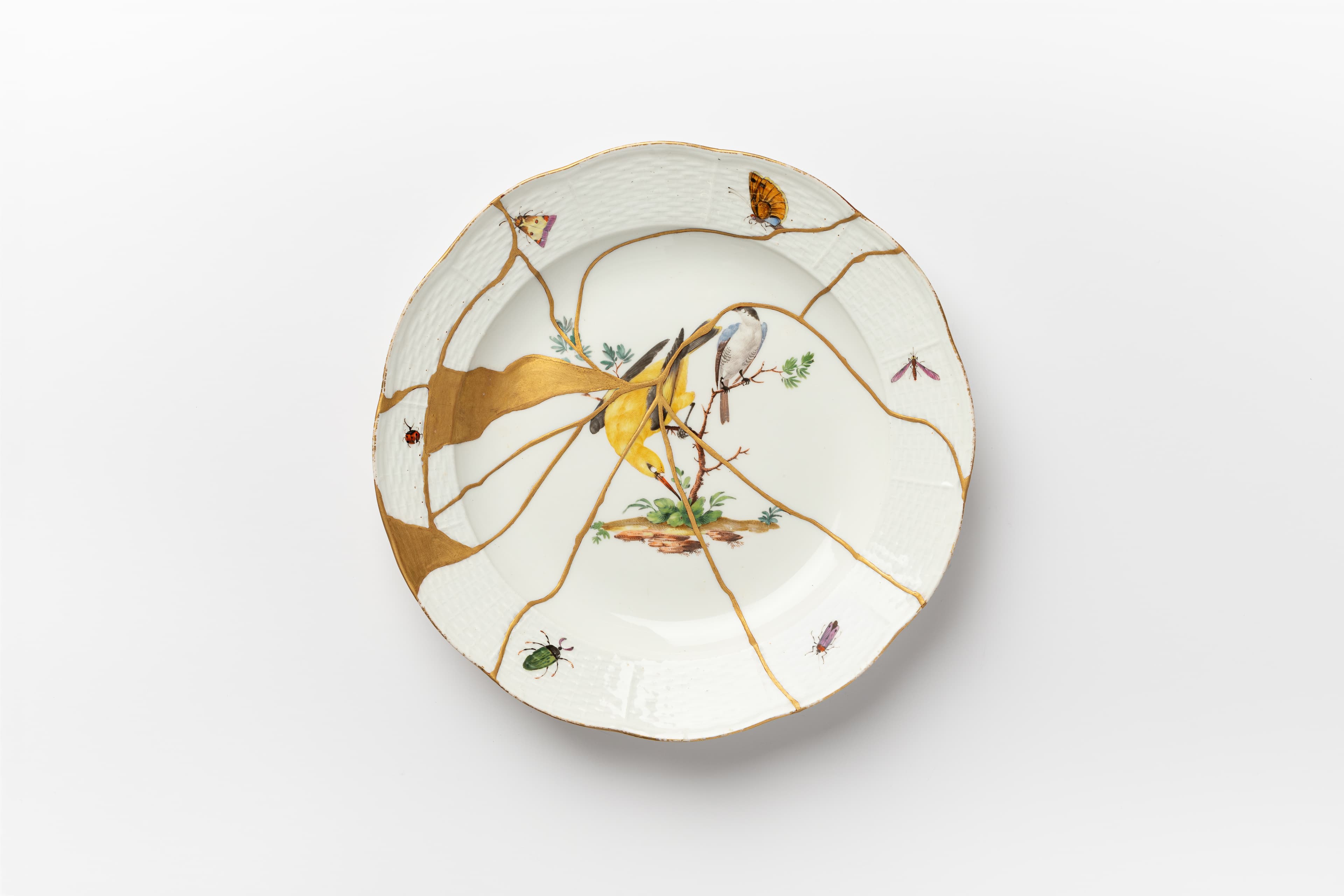 A Meissen plate decorated with gold lines and images of birds.
