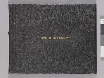 Some Living Rainbows