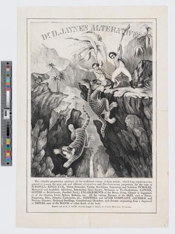 Dr. D. Jayne's alterative