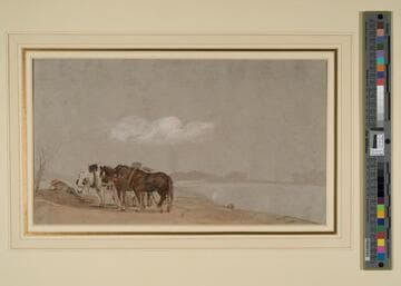 Boy and Horses Resting