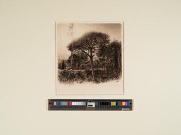 From Santa Maria di Gesu. Palermo