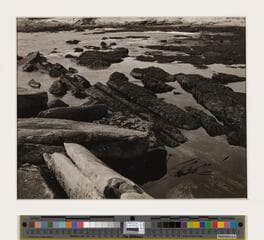 Go to image 1.