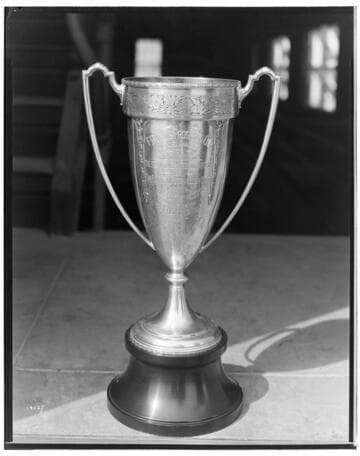 D2.2 - Displays, Trophies