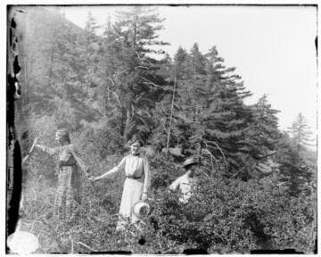 Two women and a boy hiking up a hill surrounded by trees