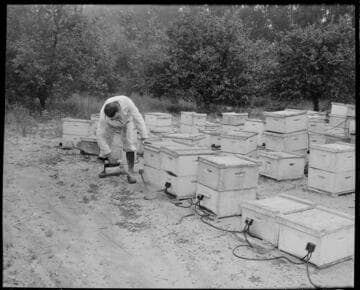 Agriculture
