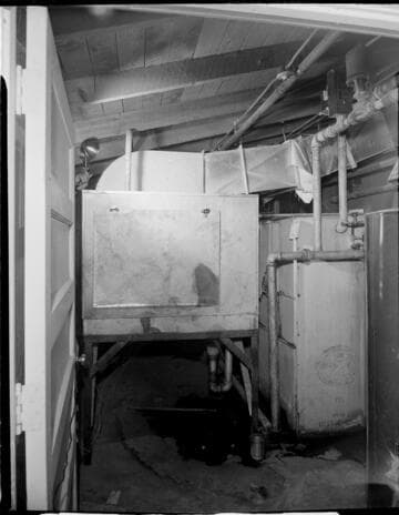 Agriculture, poultry