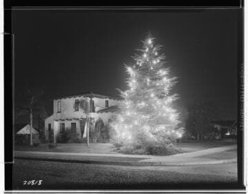 L1.1 - Lighting, misc. - Christmas lighting