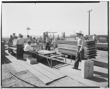 L1.8 - Lighting, Packing Plants - Apricot Drying