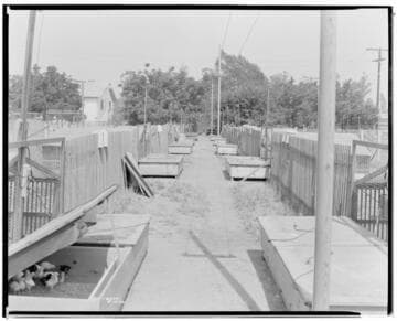 P2 - Poultry - Electric Brooders