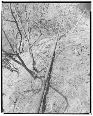 Eagle-Bell Transmission Line - Forest Fire above Altadena
