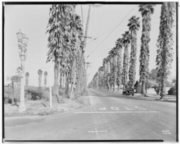 A1.2 - Accidents - Maruto & Fernandez Accident