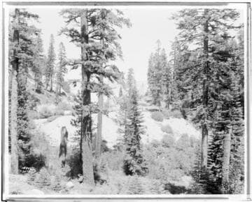 Big Creek Huntington Lake Dams - Dam #3