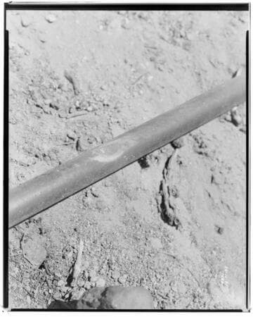 Eagle-Bell Transmission Line - Forest Fire above Altadena