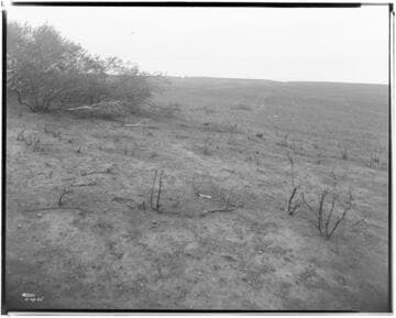 Distribution Lines - Malibu fire area
